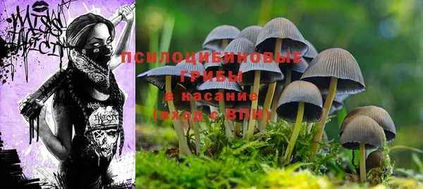 героин Алексеевка