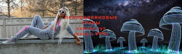apvp Алексин