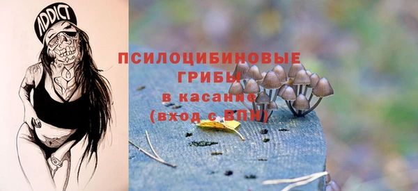 apvp Алексин