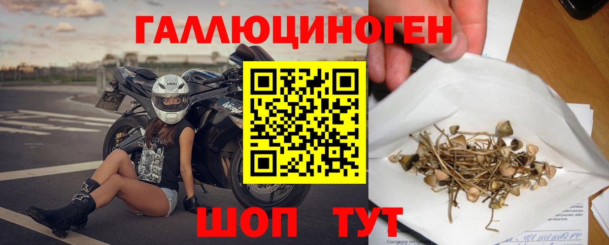 Псилоцибиновые грибы GOLDEN TEACHER  Вход с VPN  Чистополь 
