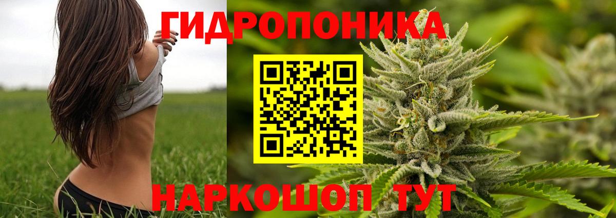 Канабис марихуана Чистополь
